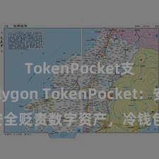 TokenPocket支持Polygon TokenPocket：安全贬责数字资产，冷钱包保护您的金钱